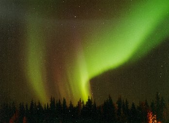 Photographie d'une 
aurore boréale prise en Alaska