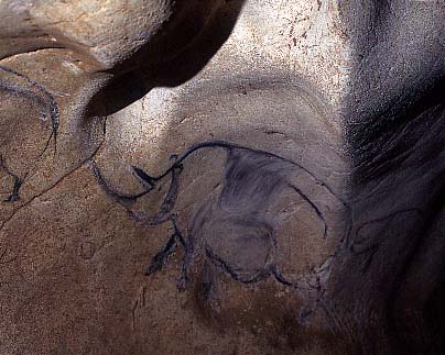 Photographie d'un dessin rupestre montrant un rhinocéros